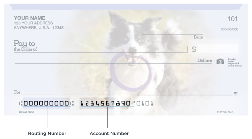 routing and account number